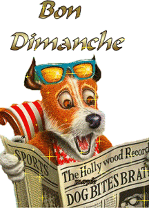 Gif animé Bon dimanche chien